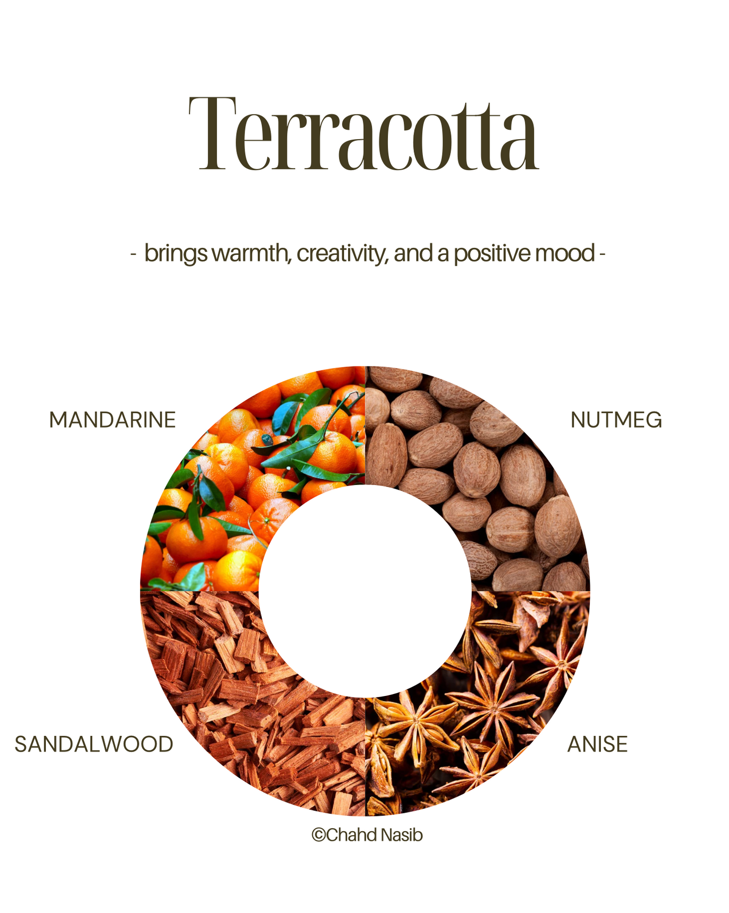 TERRACOTTA - BIO candle