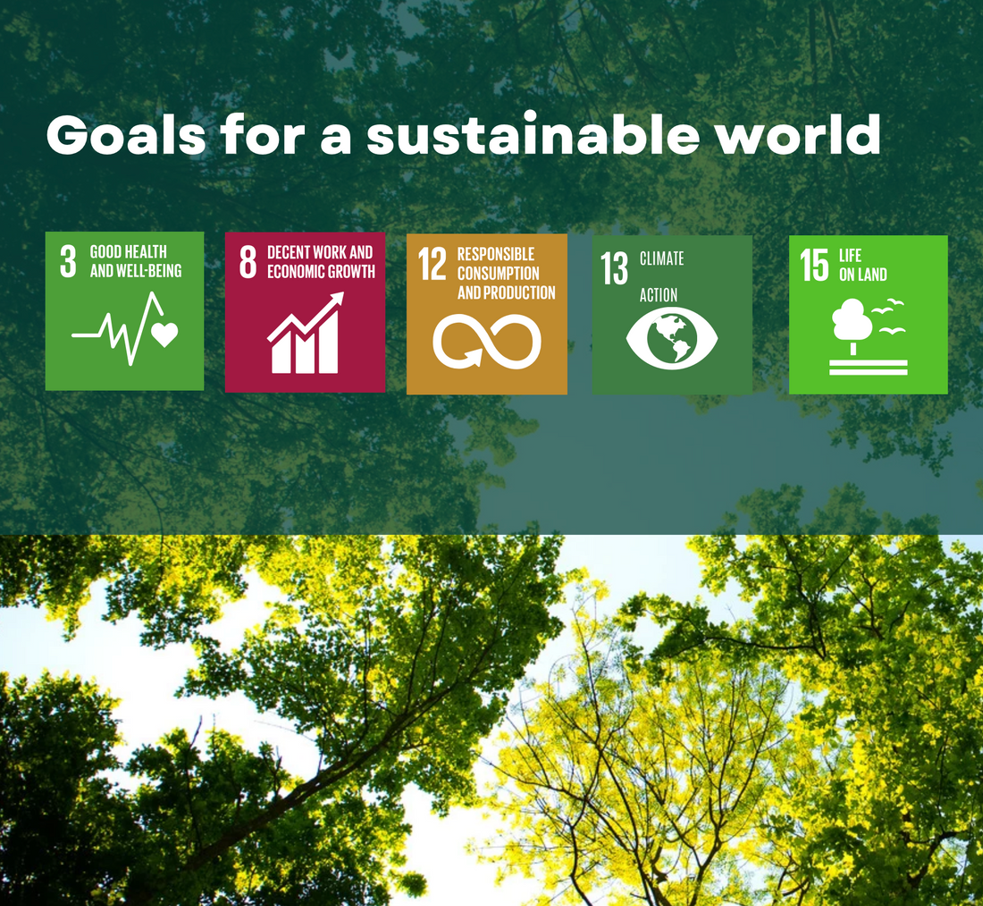 Sustainability at KHÔSY®